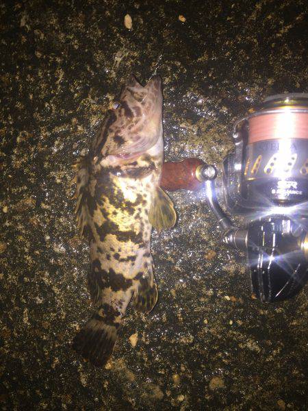 悪天候の合間に釣行